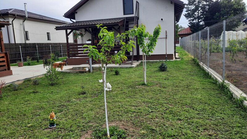 Buturugeni, casuta superba 2023, langa Bucuresti, 23 km, proprietar